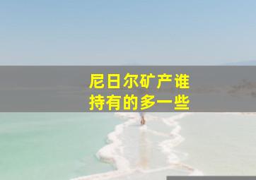 尼日尔矿产谁持有的多一些