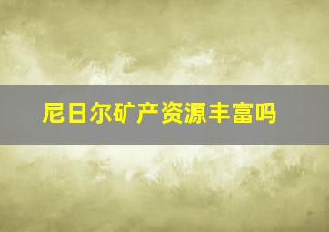 尼日尔矿产资源丰富吗