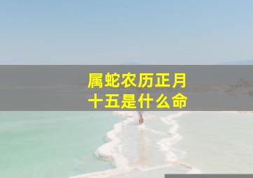 属蛇农历正月十五是什么命