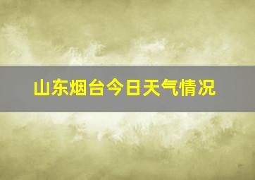 山东烟台今日天气情况