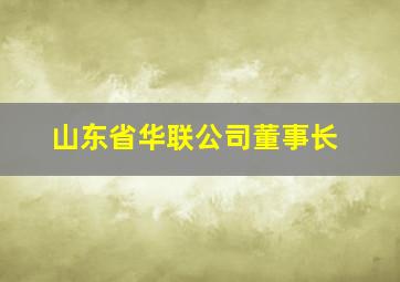 山东省华联公司董事长