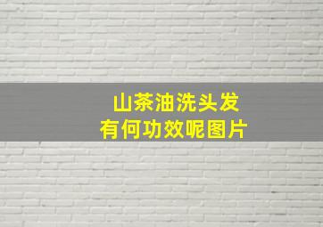 山茶油洗头发有何功效呢图片