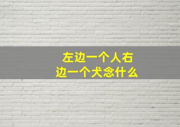 左边一个人右边一个犬念什么