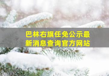 巴林右旗任免公示最新消息查询官方网站