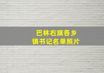 巴林右旗各乡镇书记名单照片