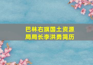 巴林右旗国土资源局局长李洪勇简历