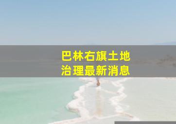 巴林右旗土地治理最新消息