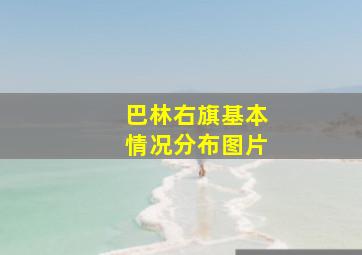 巴林右旗基本情况分布图片