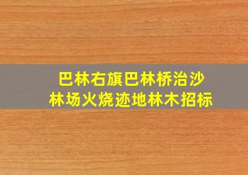 巴林右旗巴林桥治沙林场火烧迹地林木招标