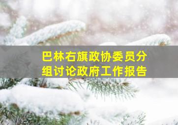 巴林右旗政协委员分组讨论政府工作报告