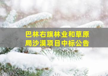 巴林右旗林业和草原局沙漠项目中标公告