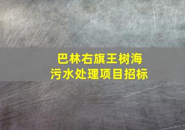 巴林右旗王树海污水处理项目招标