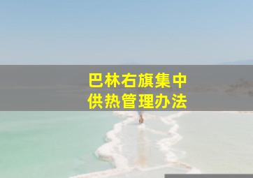 巴林右旗集中供热管理办法