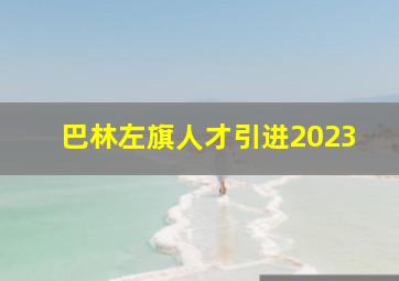 巴林左旗人才引进2023