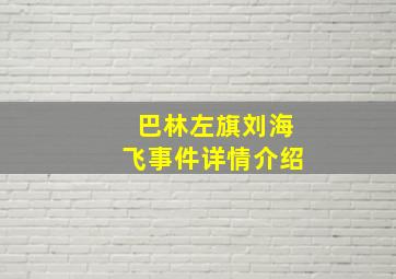 巴林左旗刘海飞事件详情介绍