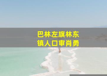 巴林左旗林东镇人口审肖勇