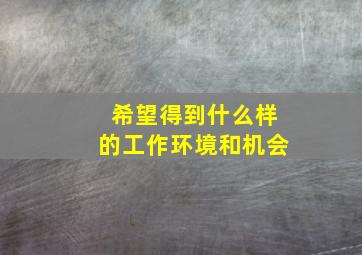 希望得到什么样的工作环境和机会