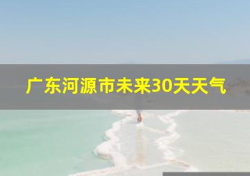 广东河源市未来30天天气