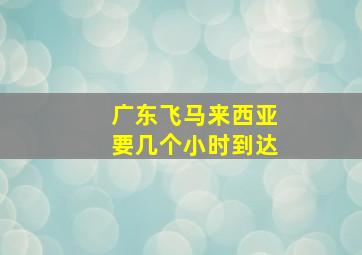 广东飞马来西亚要几个小时到达