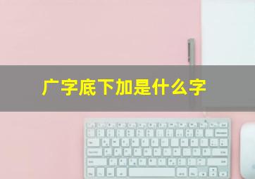 广字底下加是什么字