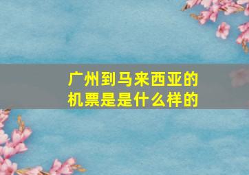 广州到马来西亚的机票是是什么样的