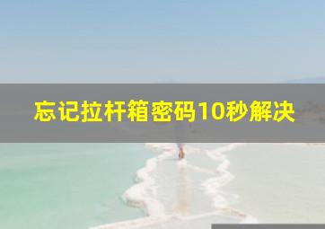 忘记拉杆箱密码10秒解决