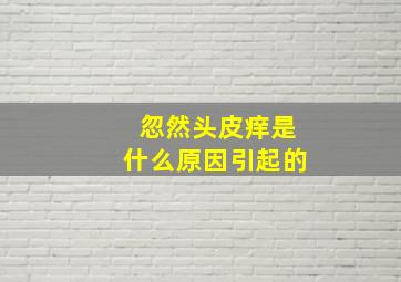 忽然头皮痒是什么原因引起的