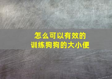 怎么可以有效的训练狗狗的大小便