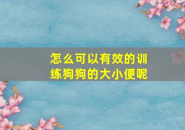 怎么可以有效的训练狗狗的大小便呢