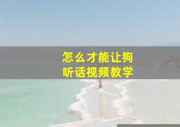 怎么才能让狗听话视频教学