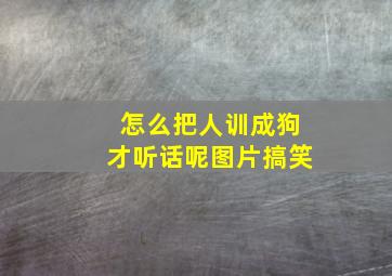 怎么把人训成狗才听话呢图片搞笑