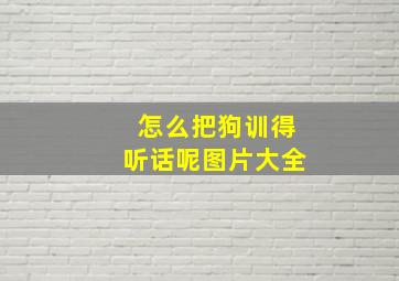 怎么把狗训得听话呢图片大全