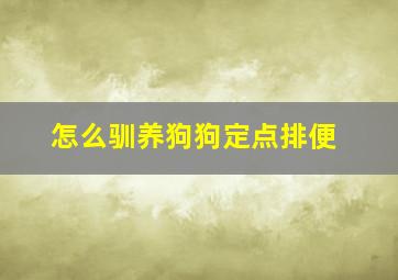 怎么驯养狗狗定点排便