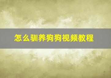 怎么驯养狗狗视频教程