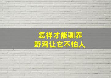 怎样才能驯养野鸡让它不怕人