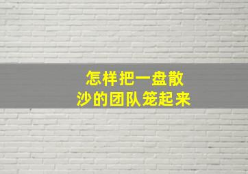 怎样把一盘散沙的团队笼起来