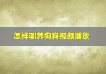 怎样驯养狗狗视频播放