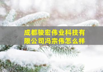 成都骏宏伟业科技有限公司冯宗伟怎么样