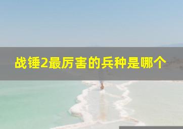 战锤2最厉害的兵种是哪个