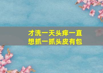 才洗一天头痒一直想抓一抓头皮有包