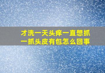 才洗一天头痒一直想抓一抓头皮有包怎么回事