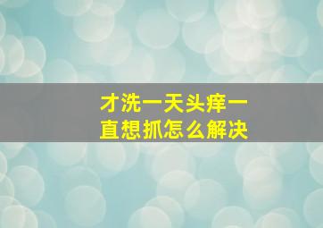 才洗一天头痒一直想抓怎么解决