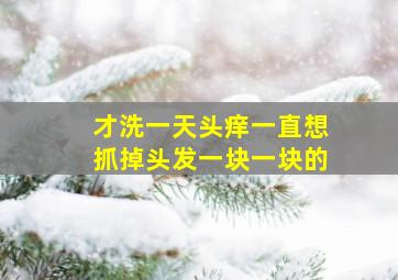 才洗一天头痒一直想抓掉头发一块一块的