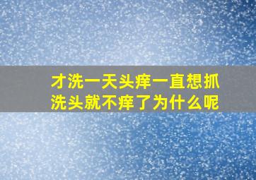 才洗一天头痒一直想抓洗头就不痒了为什么呢