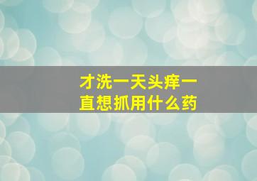 才洗一天头痒一直想抓用什么药