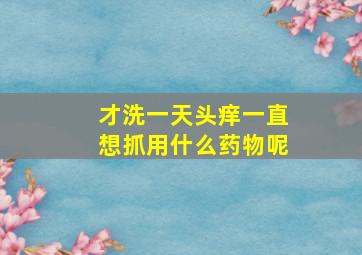 才洗一天头痒一直想抓用什么药物呢