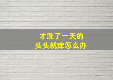 才洗了一天的头头就痒怎么办