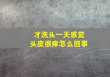 才洗头一天感觉头皮很痒怎么回事