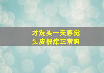 才洗头一天感觉头皮很痒正常吗