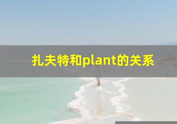 扎夫特和plant的关系